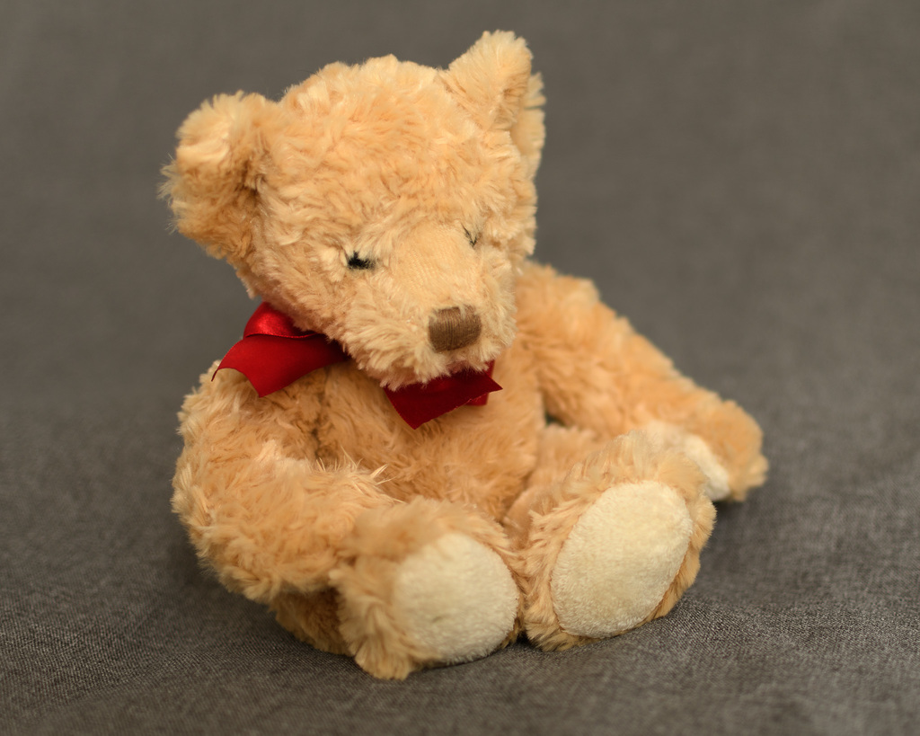 Teddy bear on gray background